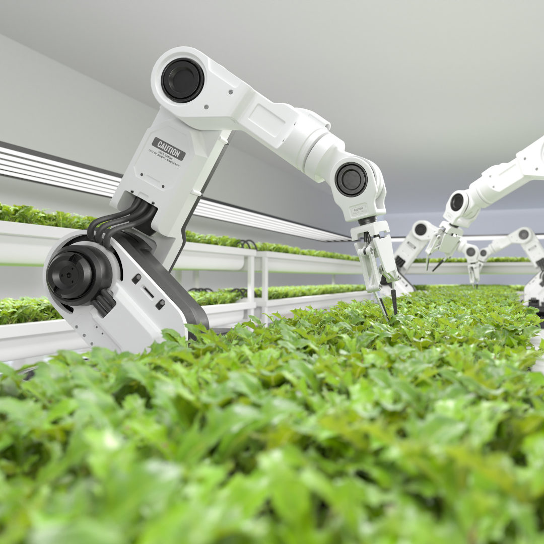 Mekanik işlem & Polisaj